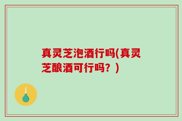 真灵芝泡酒行吗(真灵芝酿酒可行吗？)