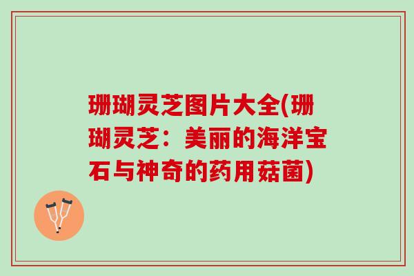 珊瑚灵芝图片大全(珊瑚灵芝:美丽的海洋宝石与神奇的药用菇菌) 珊瑚灵芝图片大全(珊瑚灵芝:美丽的海洋宝石与神奇的药用菇菌)