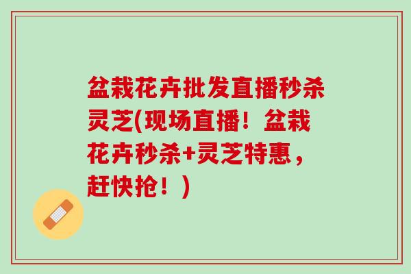 盆栽花卉批发直播秒杀灵芝(现场直播！盆栽花卉秒杀+灵芝特惠，赶快抢！)