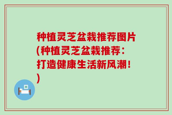 种植灵芝盆栽推荐图片(种植灵芝盆栽推荐：打造健康生活新风潮！)