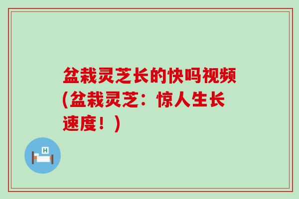 盆栽灵芝长的快吗视频(盆栽灵芝：惊人生长速度！)
