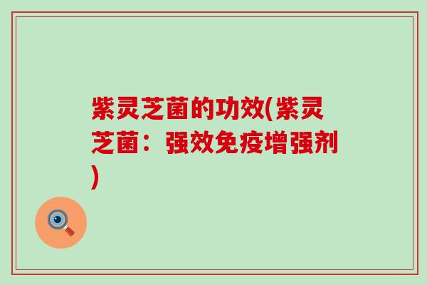 紫灵芝菌的功效(紫灵芝菌：强效免疫增强剂)