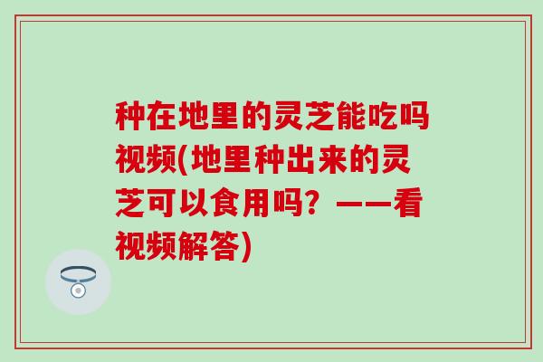 种在地里的灵芝能吃吗视频(地里种出来的灵芝可以食用吗？——看视频解答)