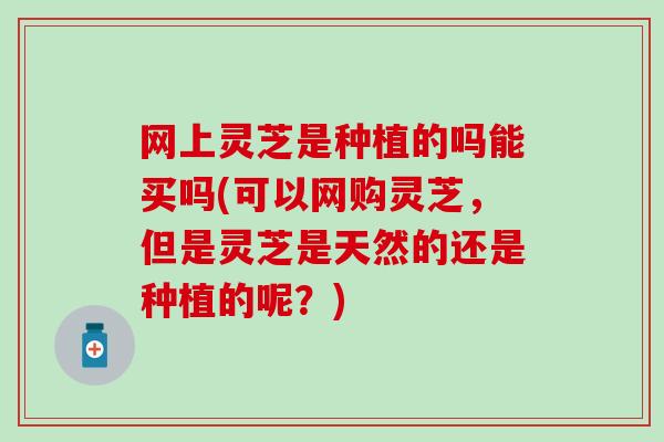 网上灵芝是种植的吗能买吗(可以网购灵芝，但是灵芝是天然的还是种植的呢？)
