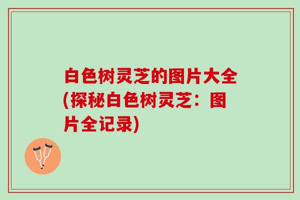 白色树灵芝的图片大全(探秘白色树灵芝：图片全记录)