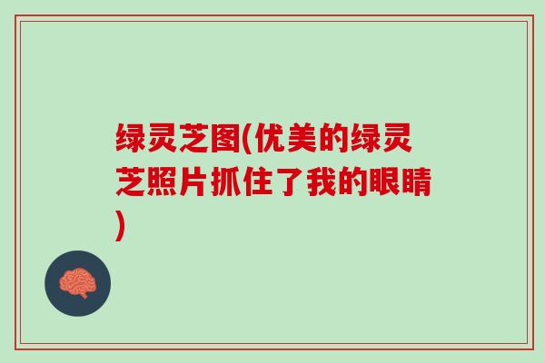 绿灵芝图(优美的绿灵芝照片抓住了我的眼睛)