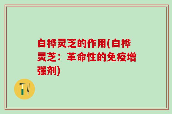 白桦灵芝的作用(白桦灵芝：革命性的免疫增强剂)