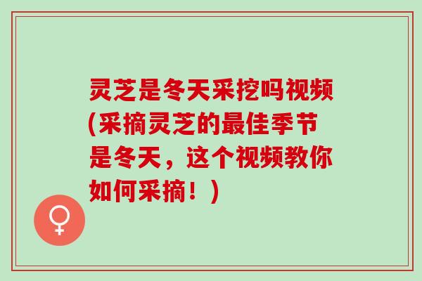 灵芝是冬天采挖吗视频(采摘灵芝的最佳季节是冬天，这个视频教你如何采摘！)