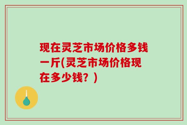 现在灵芝市场价格多钱一斤(灵芝市场价格现在多少钱？)