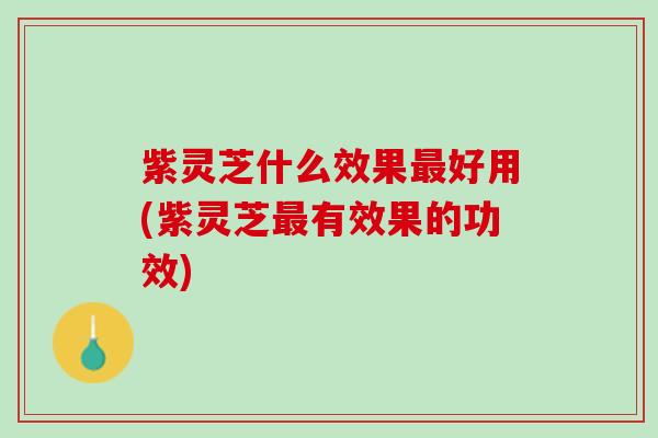 紫灵芝什么效果最好用(紫灵芝最有效果的功效)
