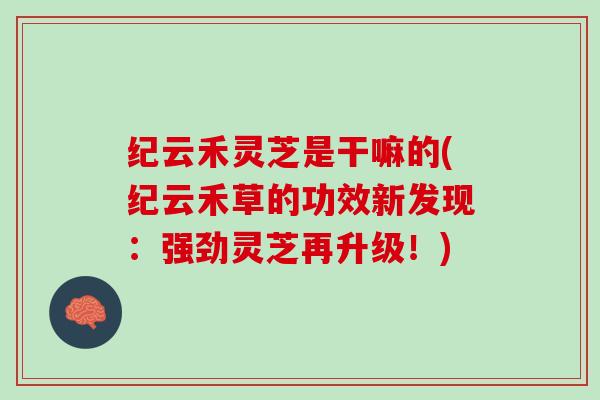 纪云禾灵芝是干嘛的(纪云禾草的功效新发现：强劲灵芝再升级！)