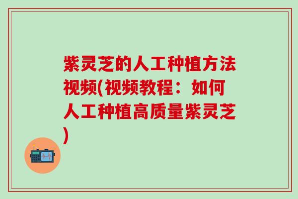 紫灵芝的人工种植方法视频(视频教程：如何人工种植高质量紫灵芝)