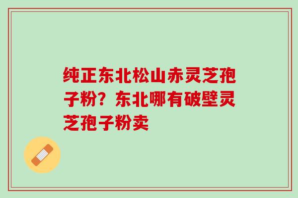 纯正东北松山赤灵芝孢子粉？东北哪有破壁灵芝孢子粉卖