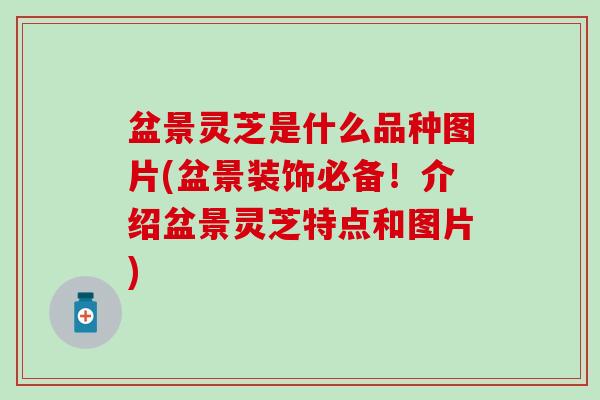 盆景灵芝是什么品种图片(盆景装饰必备！介绍盆景灵芝特点和图片)