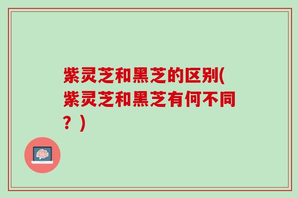 紫灵芝和黑芝的区别(紫灵芝和黑芝有何不同？)