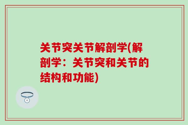 关节突关节解剖学(解剖学：关节突和关节的结构和功能)
