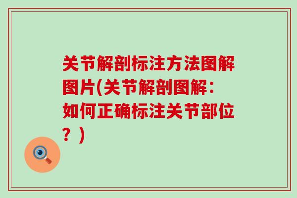关节解剖标注方法图解图片(关节解剖图解：如何正确标注关节部位？)