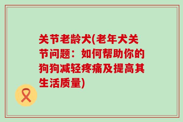 关节老龄犬(老年犬关节问题：如何帮助你的狗狗减轻疼痛及提高其生活质量)