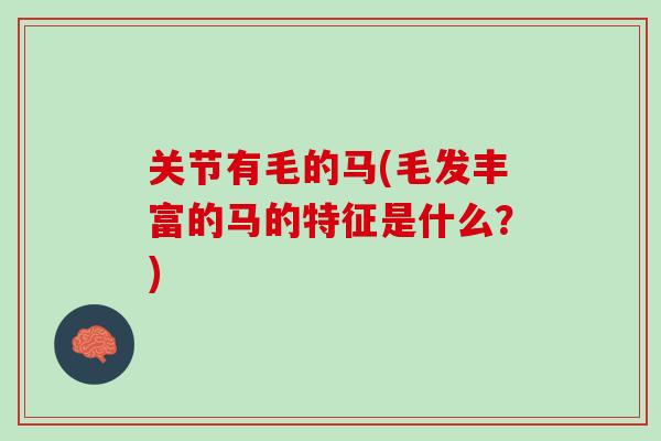 关节有毛的马(毛发丰富的马的特征是什么？)