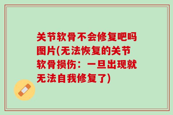 关节软骨不会修复吧吗图片(无法恢复的关节软骨损伤：一旦出现就无法自我修复了)