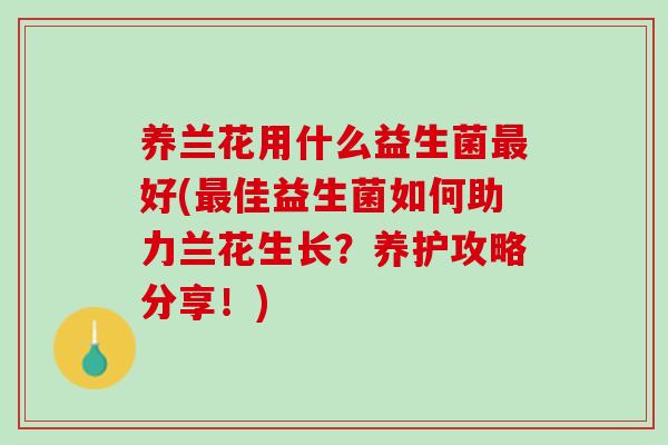 养兰花用什么益生菌最好(最佳益生菌如何助力兰花生长？养护攻略分享！)