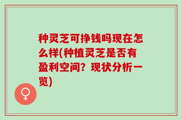 种灵芝可挣钱吗现在怎么样(种植灵芝是否有盈利空间？现状分析一览)