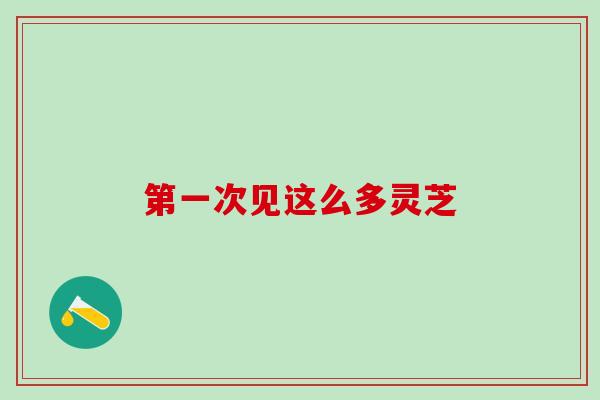 第一次见这么多灵芝