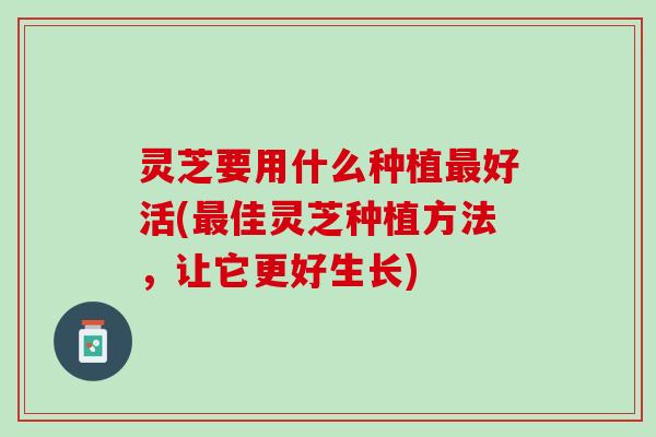 灵芝要用什么种植最好活(最佳灵芝种植方法，让它更好生长)