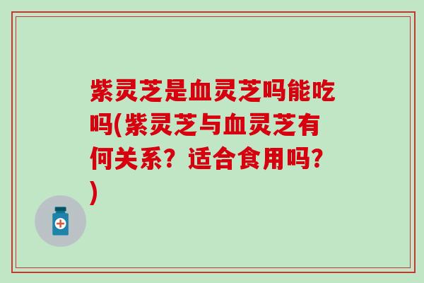 紫灵芝是灵芝吗能吃吗(紫灵芝与灵芝有何关系?适合食用吗?) 紫灵芝是灵芝吗能吃吗(紫灵芝与灵芝有何关系?适合食用吗?)