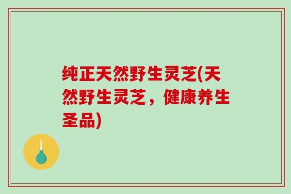 纯正天然野生灵芝(天然野生灵芝，健康养生圣品)