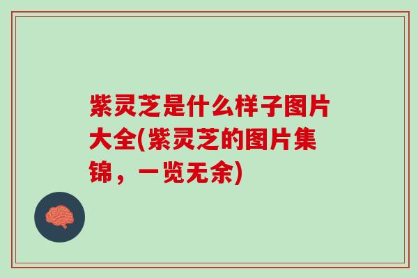 紫灵芝是什么样子图片大全(紫灵芝的图片集锦，一览无余)