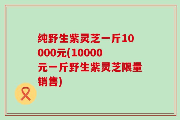 纯野生紫灵芝一斤10000元(10000元一斤野生紫灵芝限量销售)
