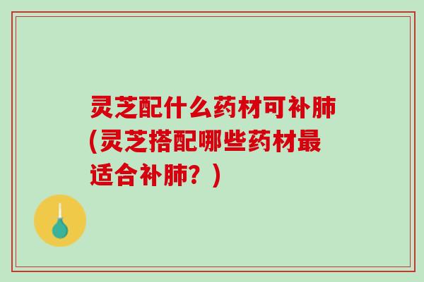 灵芝配什么药材可补肺(灵芝搭配哪些药材最适合补肺？)
