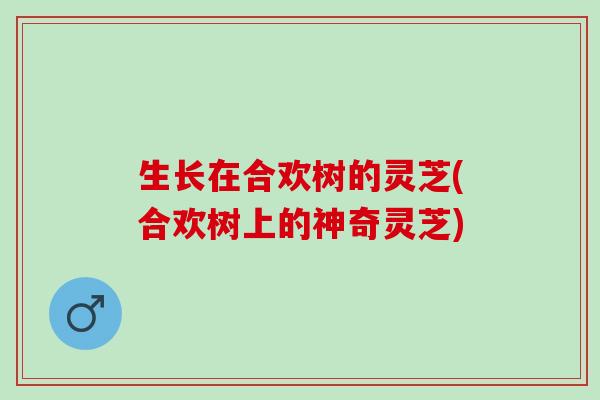 生长在合欢树的灵芝(合欢树上的神奇灵芝)