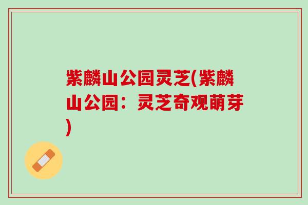 紫麟山公园灵芝(紫麟山公园：灵芝奇观萌芽)