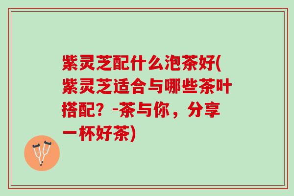 紫灵芝配什么泡茶好(紫灵芝适合与哪些茶叶搭配？-茶与你，分享一杯好茶)