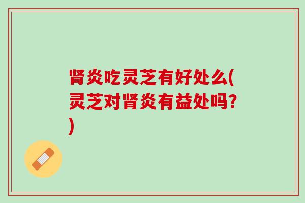 肾炎吃灵芝有好处么(灵芝对肾炎有益处吗？)