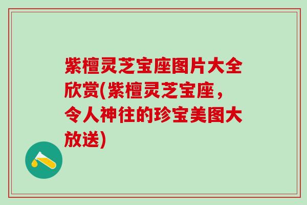 紫檀灵芝宝座图片大全欣赏(紫檀灵芝宝座，令人神往的珍宝美图大放送)