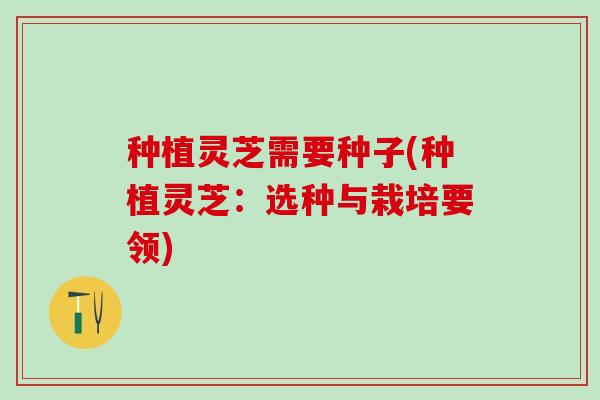 种植灵芝需要种子(种植灵芝：选种与栽培要领)