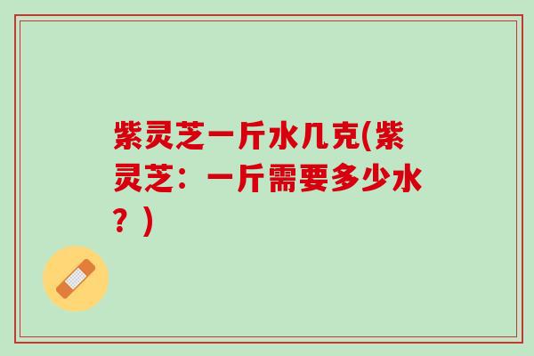 紫灵芝一斤水几克(紫灵芝：一斤需要多少水？)