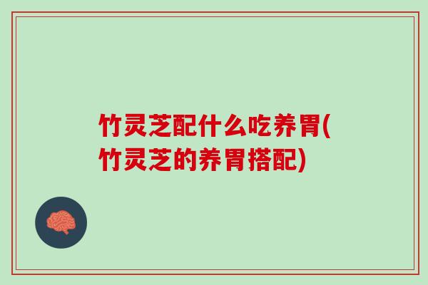 竹灵芝配什么吃养胃(竹灵芝的养胃搭配)