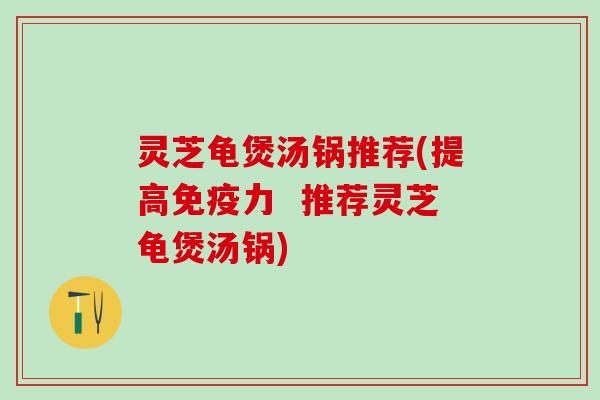 灵芝龟煲汤锅推荐(提高免疫力  推荐灵芝龟煲汤锅)