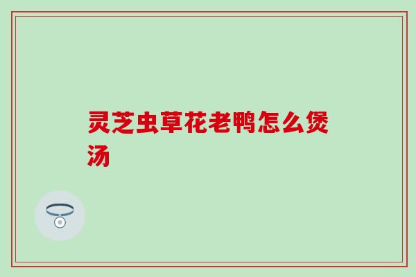 灵芝虫草花老鸭怎么煲汤