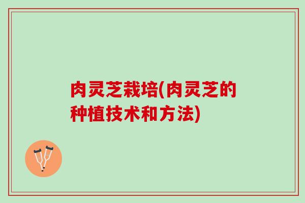 肉灵芝栽培(肉灵芝的种植技术和方法)