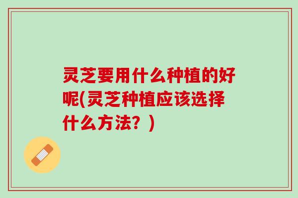 灵芝要用什么种植的好呢(灵芝种植应该选择什么方法？)