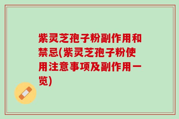 紫灵芝孢子粉副作用和禁忌(紫灵芝孢子粉使用注意事项及副作用一览)