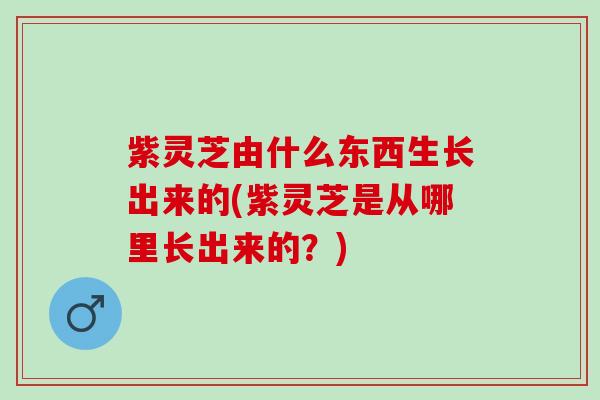 紫灵芝由什么东西生长出来的(紫灵芝是从哪里长出来的?) 紫灵芝由什么东西生长出来的(紫灵芝是从哪里长出来的?)