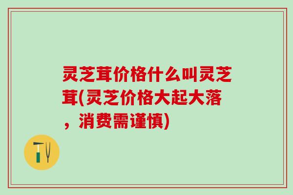 灵芝茸价格什么叫灵芝茸(灵芝价格大起大落，消费需谨慎)