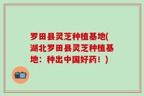 罗田县灵芝种植基地(湖北罗田县灵芝种植基地：种出中国好药！)