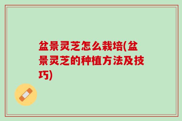 盆景灵芝怎么栽培(盆景灵芝的种植方法及技巧)